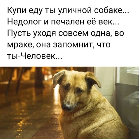 79180370869.yandex.ru в LOOKY. . 