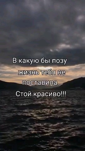 ВОЛК СЕРЫЙ в LOOKY — публикация