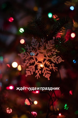 Simple Russian Girl в LOOKY. . Кто работает на нг?
...