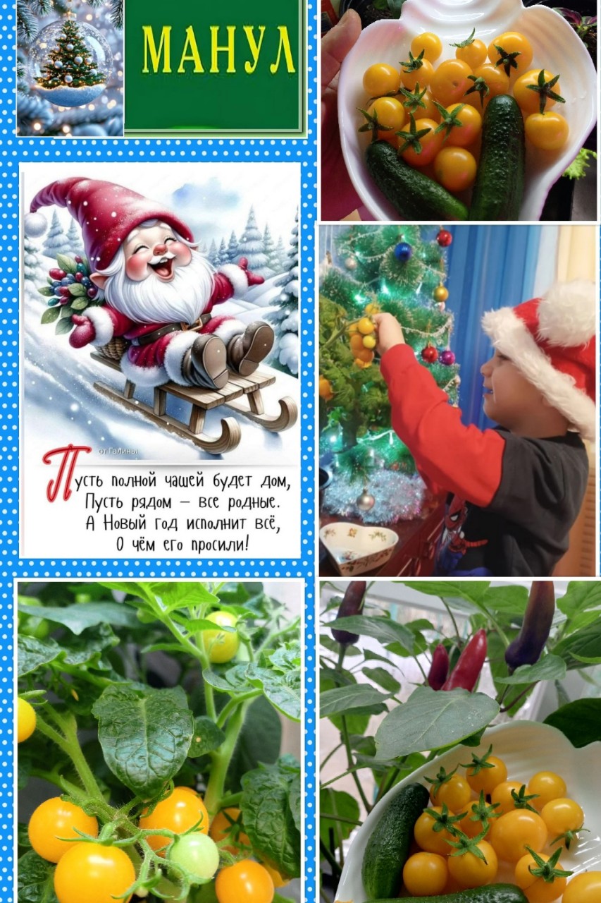 Дудинова Ирина в LOOKY — Доброго времени суток! Рада всех приветствовать!  🌲❄️🌲❄️🌲