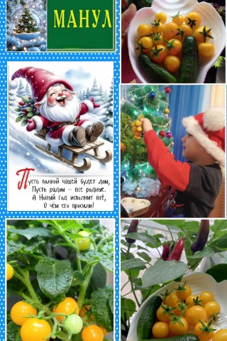 Looky_172619066705067 в LOOKY. #зимасманулом,#зима25_ДИА. Доброго времени суто...