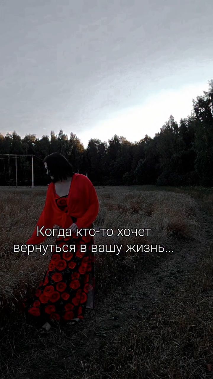 akita_inu__shiba_inu в LOOKY — публикация