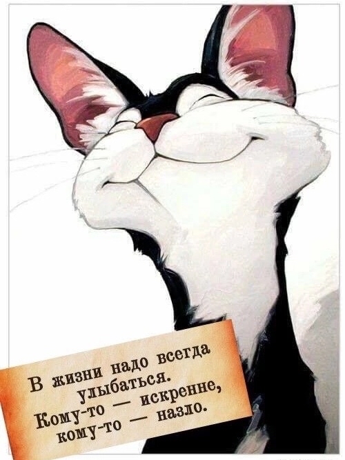  в LOOKY — публикация