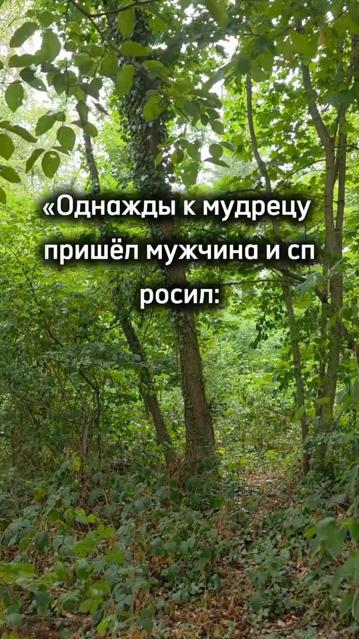 Tatiana Ubushaeva в LOOKY — публикация