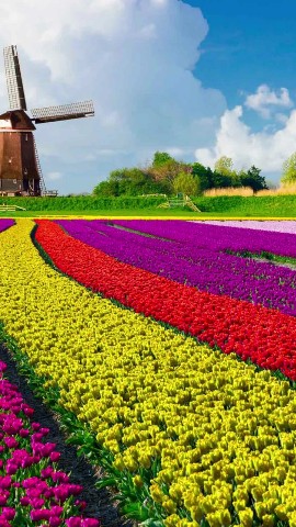 Travelout232 в LOOKY. #travelout. Top 10 Country to go...