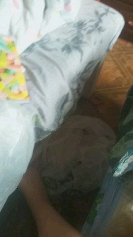 Looky_172417785296234 в LOOKY. . Лесе исполнилось 10 ...