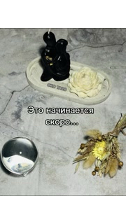 oko_taro в LOOKY — ЭТО НАЧИНАЕТСЯ СКОРО!

#гаданиенакартах #гаданиеонлайн #гада