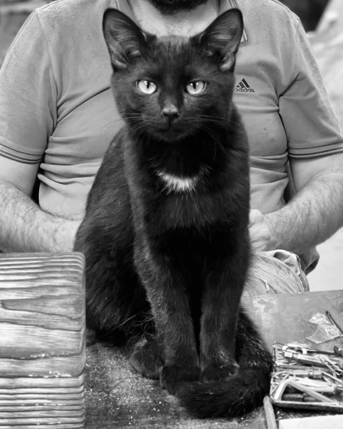 Панно с котом😌 начало 🙃
Была задумка по фото кота сделать многослойное панно, чтобы встречал нас при входе в мастерскую😼
в посте, собственно, начало работ – на видео разбивка изображения на слои по цветам  и цифровой вид итогового изделия 🐈‍⬛

#панно #лазернаярезка