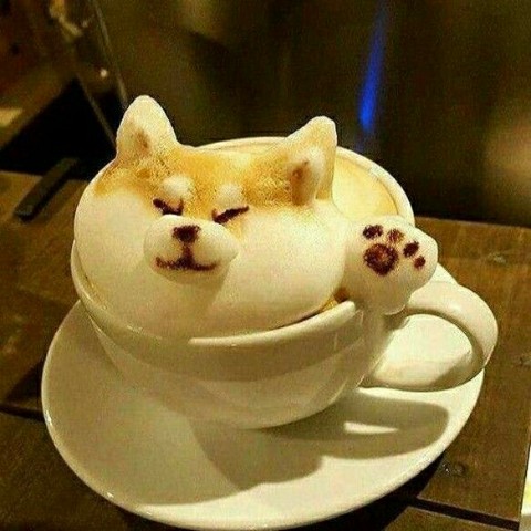 Looky_1695576157201 в LOOKY. . [#доброеутро](доброе...