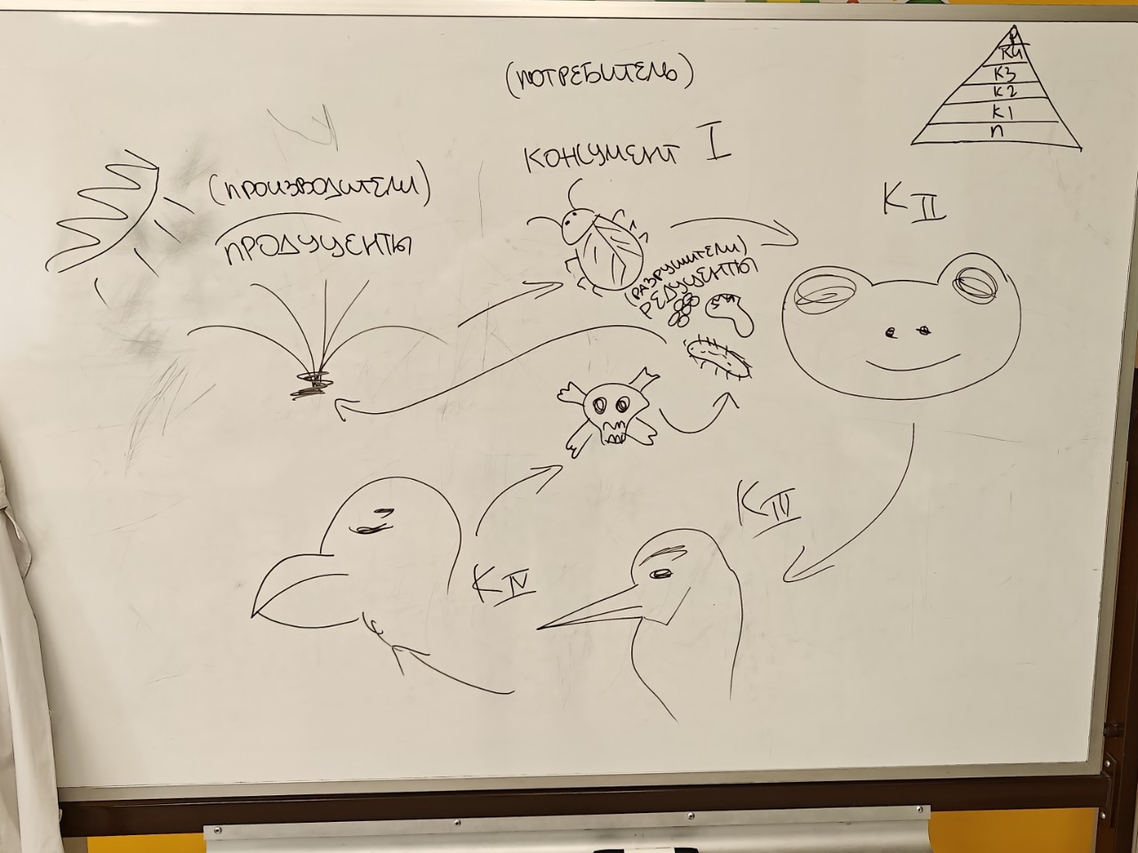 🔬 У биологов есть своя тайнопись, недоступная гуманитариям и технарям 😏🧬🕵️‍♂️

✍️ Так выглядела доска после нашего занятия с проектной группой, которая занимается «весной экосистемой» в террариуме 🌿💧 Это будет водный аэротэнк с местными растениями 🏺🌱

📝🧠 На установочном занятии мы собрали всю важную информацию о том, как управлять «жизнью в бутылке» 🔍 А дальше займёмся практикой — сбором необходимых организмов для расселения 🧫🔜

🤔💡 Куда же ребят заведёт такой проект и ограничится ли он одним таким водно-растительным коробом?! Следите за новостями, подписывайтесь на аккаунт! 👀✨

👋 До встречи в новых постах со свежими событиями 🌟📸

#Биоквантум35 #нашизанятия #допобразование #исследователиприроды #наблюдаемприроду #здоровоучиться #НаукаДляЖизни #КрасотаиЗдоровье#детскийтехнопаркКванториум #КванториумЧереповец