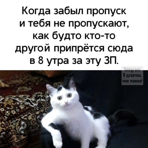 Looky_1720861415206 в LOOKY. . 