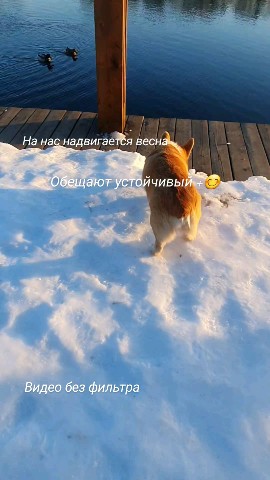 Ната Ли в LOOKY. . Остаётся ждать 👌 Пр...