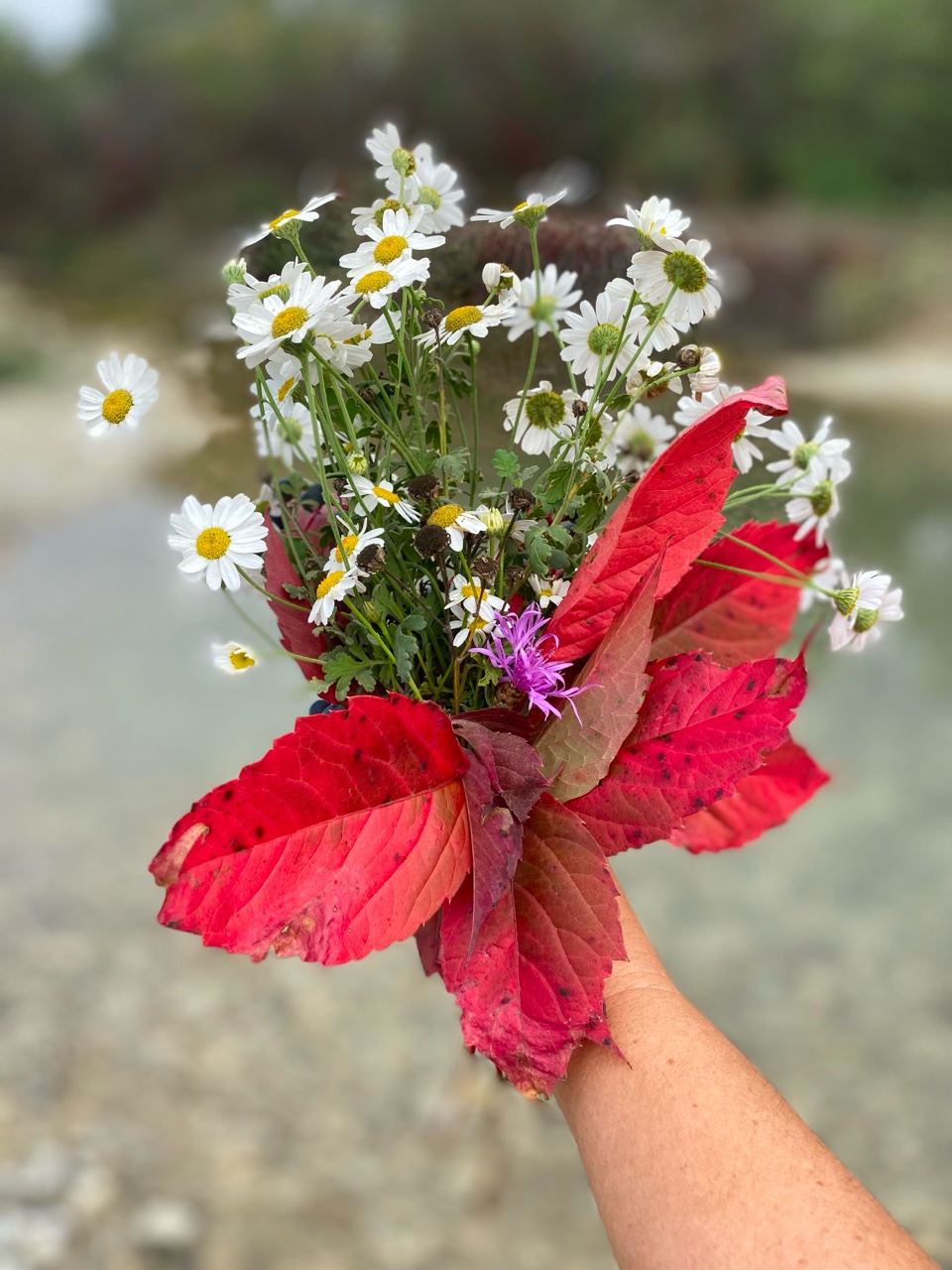 nina_melekhova в LOOKY — фото 2