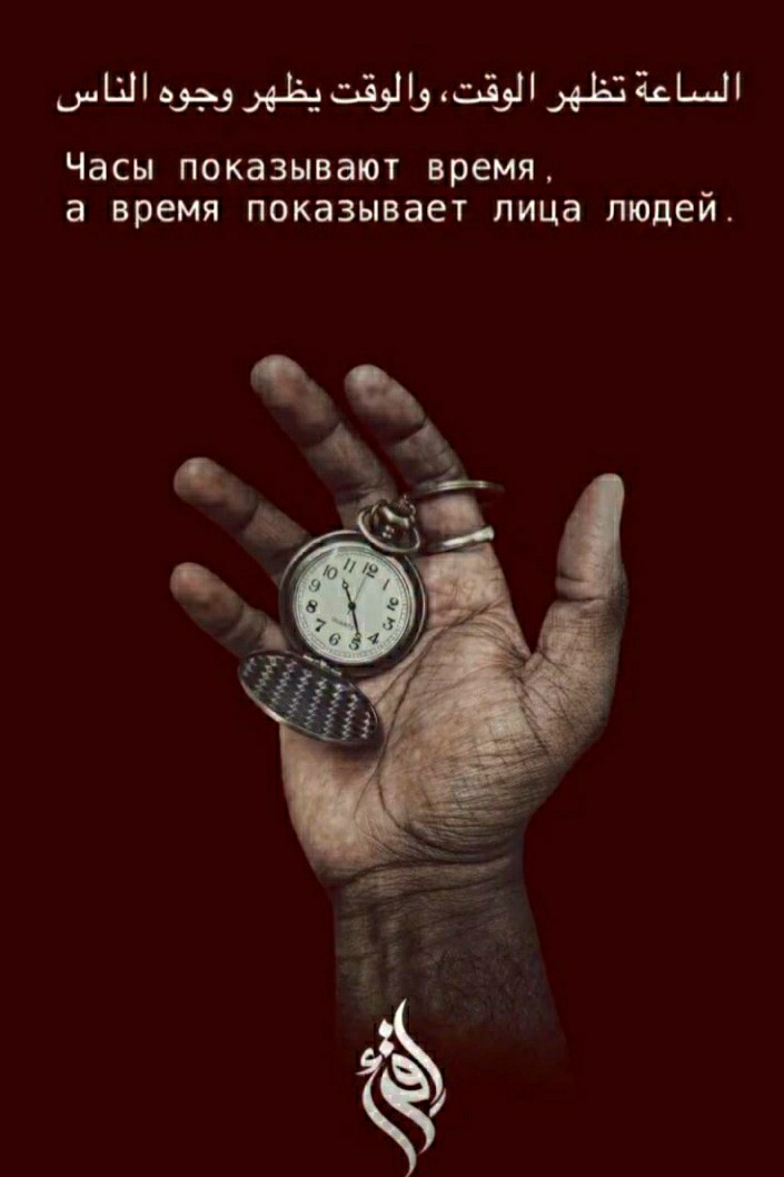  в LOOKY — публикация