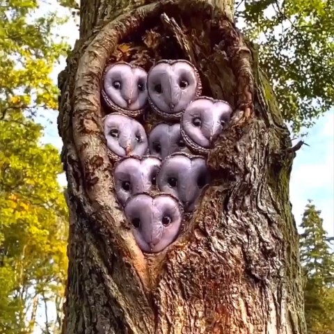 Looky_176380796641773 в LOOKY. . 