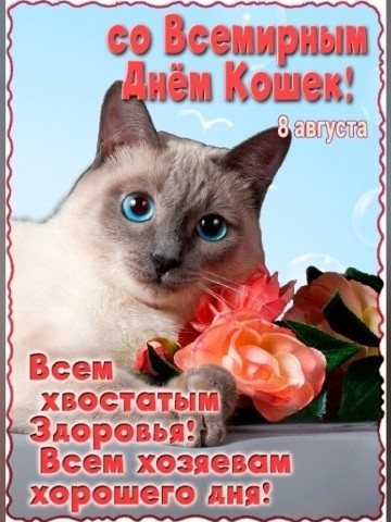 София Бровикова в LOOKY. #ВсемирныйДеньКошек,#ДеньКошек,#СДнёмКошек,#ЛюблюКошек,#КотикиРулят,#МурМур,#ПушистоеСчастье,#ХвостатыеДрузья,#КошкиЭтоСчастье,#Кошки. 8 августа отмечается...