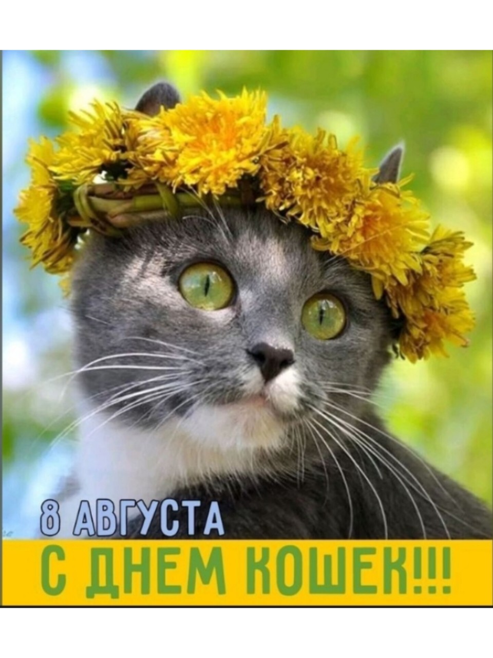 София Бровикова в LOOKY — фото 3