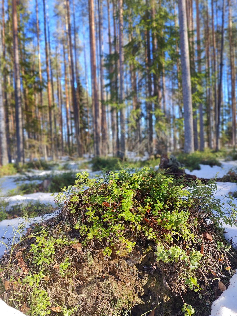 Виктор в LOOKY — фото 5