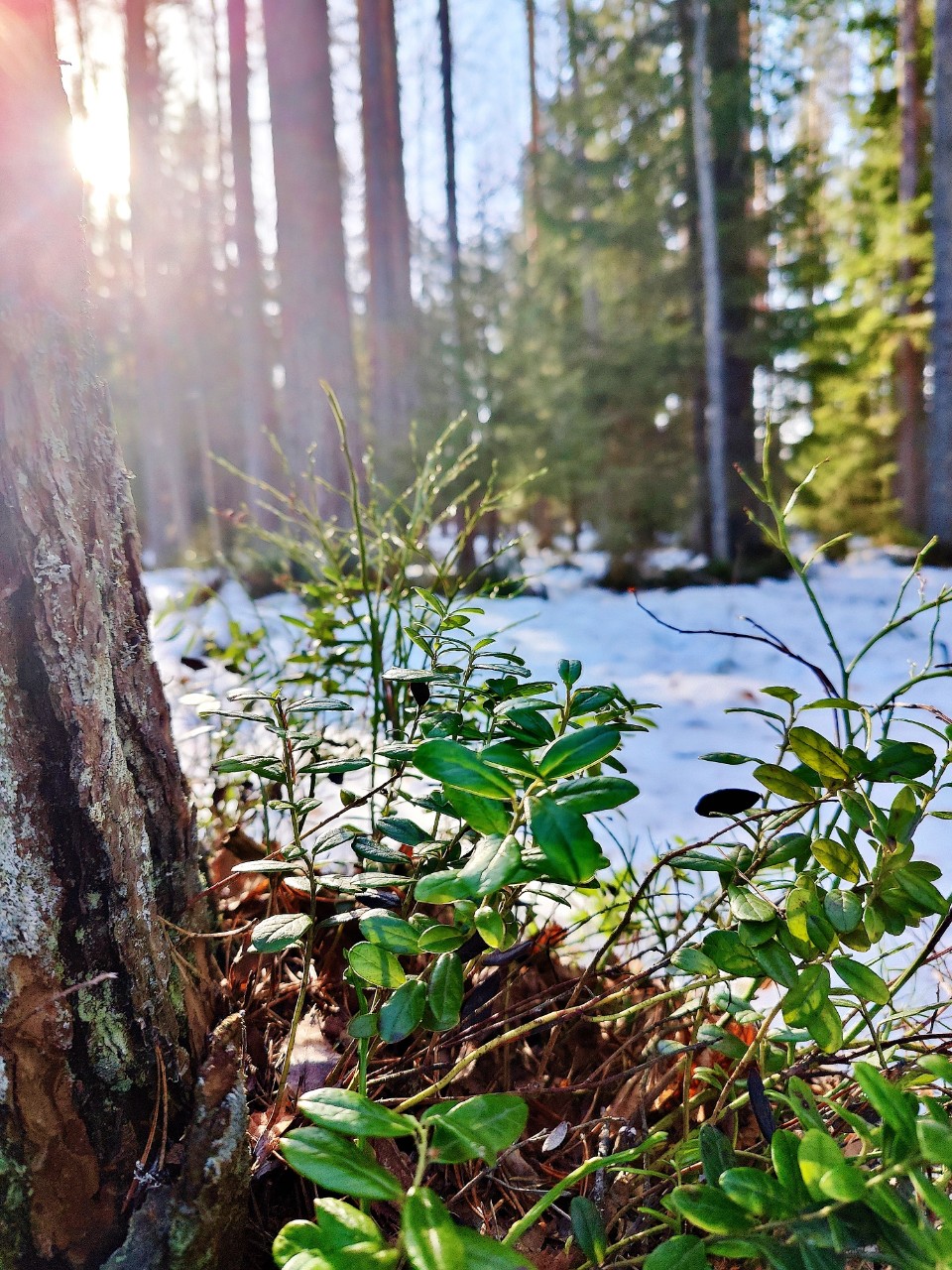 Виктор в LOOKY — фото 1