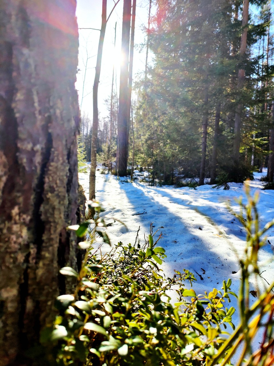 Виктор в LOOKY — фото 3