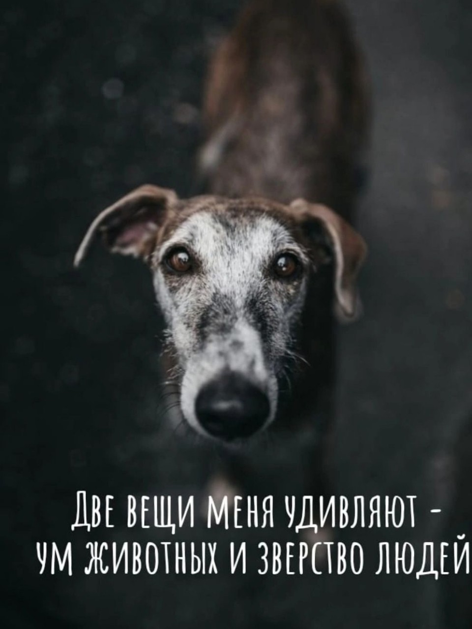 Наташа в LOOKY — публикация