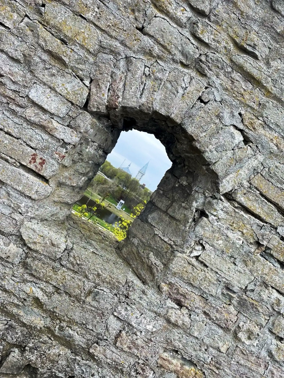 Петрусь Анастасия в LOOKY — фото 3