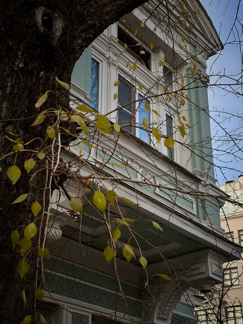 🍂 Прочитал в «Теореме тишины», что осень – время неустойчивости. Да, не знаешь чего ожидать от нее в следующее мгновение. Вчера меня стремительно обогнал небольшой лист и спланировал на землю передо мной.

☕️ Чаще нас обгоняют дни, только берешься за что-то, а день уже к вечеру, темнеет уже рано. Всё потому, что мы живем в своём, в работе делах, занятости не пойми чем, а мир живет в своём, за солнцем, за луной, за меняющимися сезонами. Это у нас рассинхронизация со временем. Мы пытаемся ловить минуты. А если бы ловили листья, 🍂время бы не летело, а плавно, кружась опускалось бы в руки или под ноги. Меньше многозаботливости, больше плавности. Успеваешь за сезонами.

А еще неустойчивость в падающих яблоках, улетающих птицах, порыв ветра может спугнуть стаю неустойчивых на ветвях листьев…🍂

Для фотографии осень очень даже устойчива. Небо чаще затянуто, меньше перепад между светом и тенью, и фото получаются мягче и тише, мистика покоя. 🍂

🏠 Возвращался домой. Навстречу взрослая женщина резко метнулась в сторону. Поймала в ладонь падавший лист. 🍁
