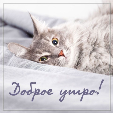 alenamiss96 в LOOKY. . 