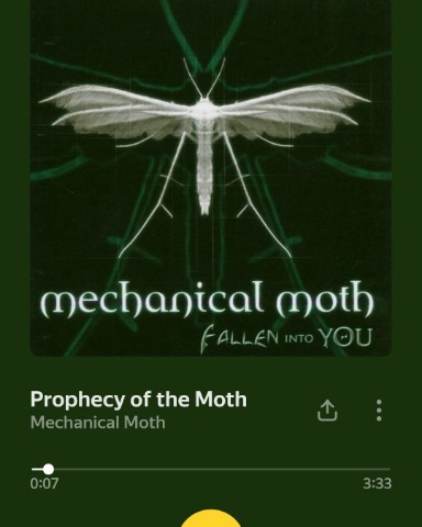 DonKaftanetti в LOOKY. #музыка,#грусть,#mechanicalmoth. Трек под настроение
...