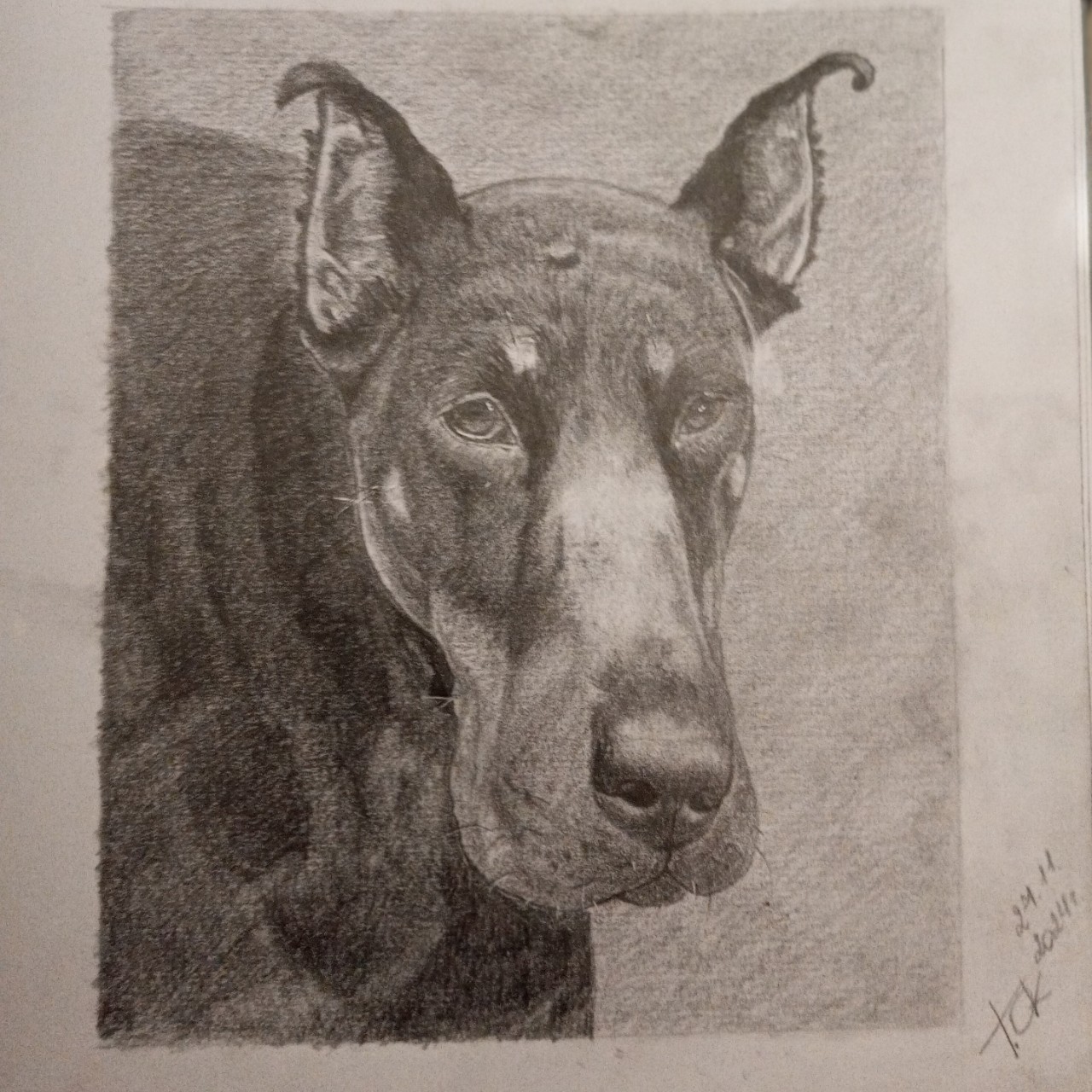 bss.olga в LOOKY — #рисуюкакмогу #учусьрисовать #рисую #карандаш #ТОК #рисунокс
