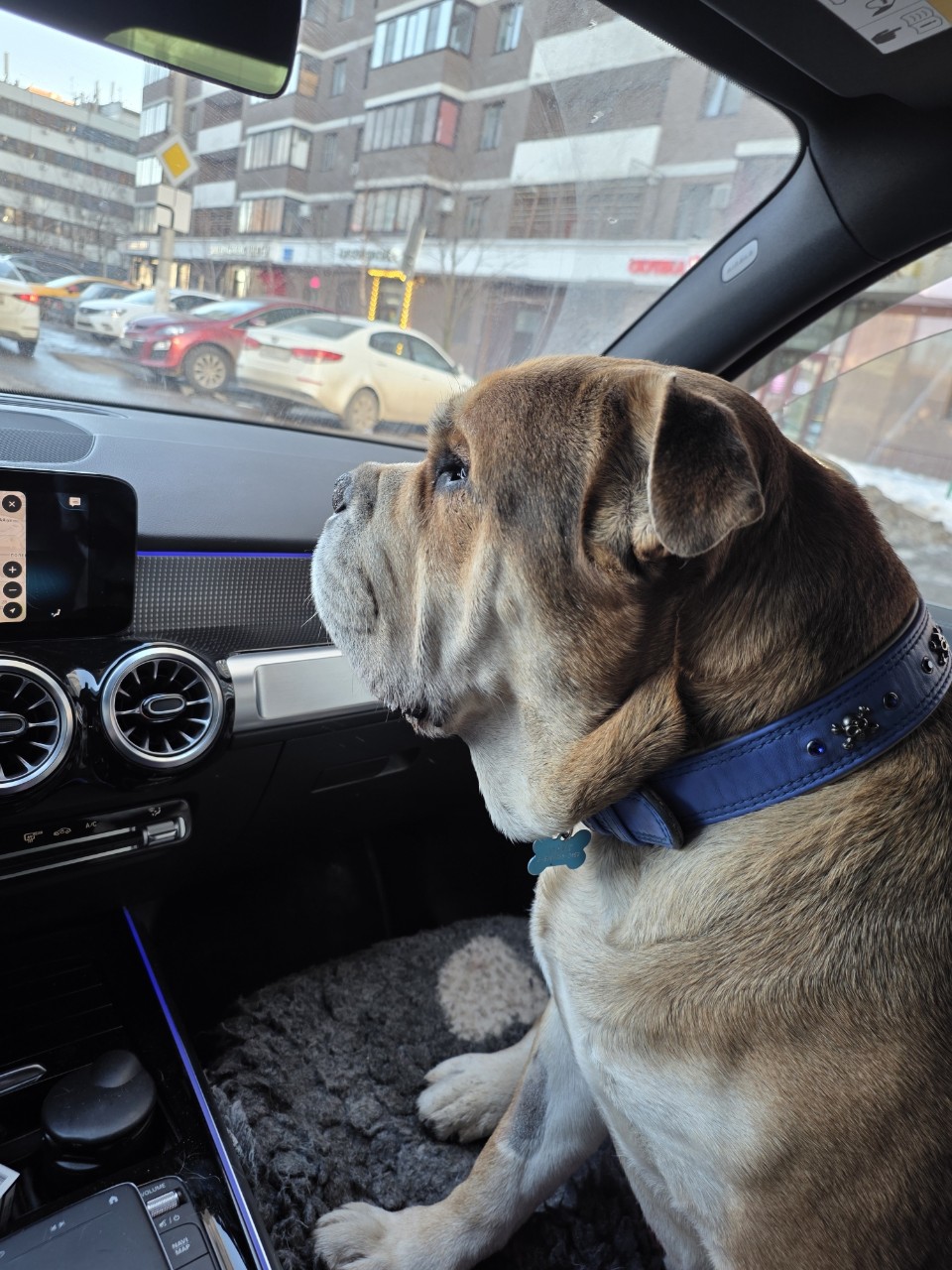 anbarinova в LOOKY. . Лучший штурман