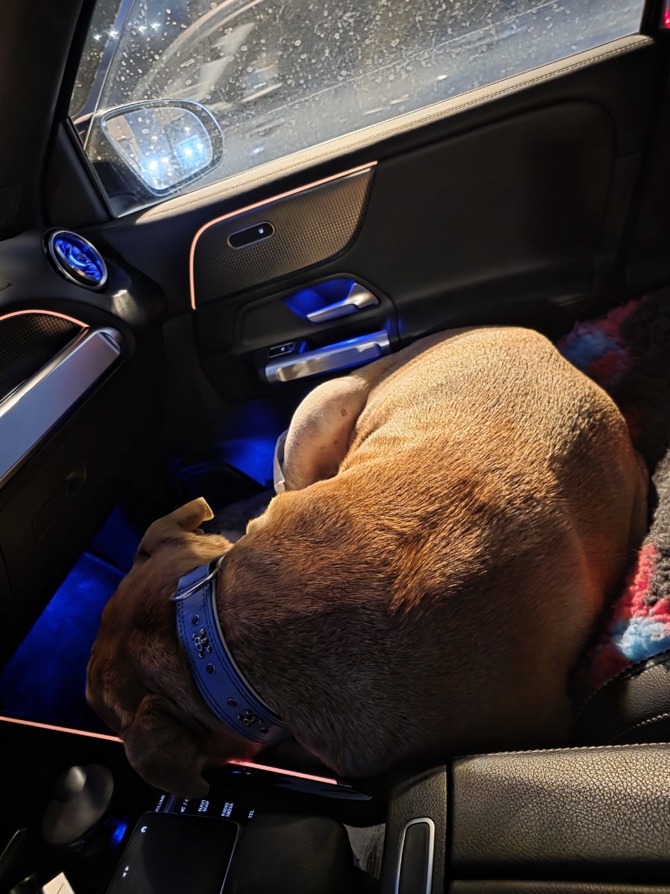 anbarinova в LOOKY — фото 2