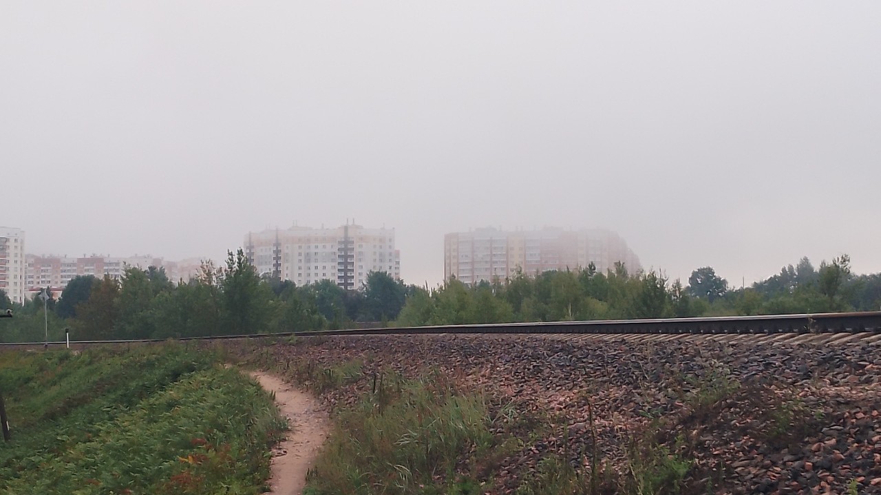 Mutant9 in LOOKY. . Город в тумане