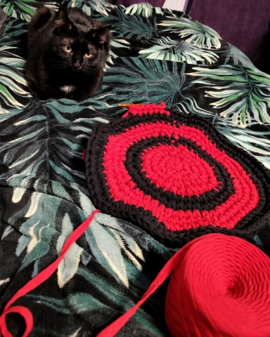 Есения Рецер в LOOKY. #кот,#котики. Учусь вязать коврики...