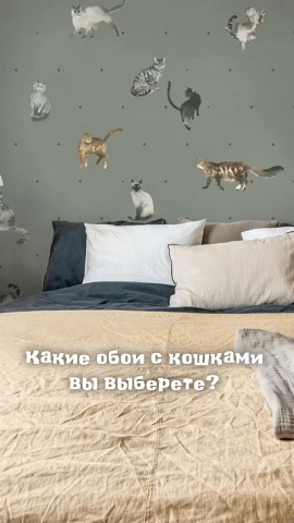 Looky_1719589462119 в LOOKY. . А какие обои с кошка...
