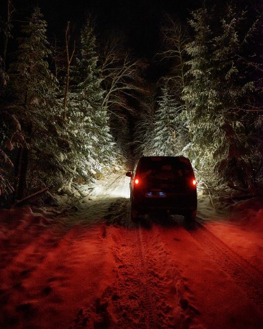 olegsockolov в LOOKY. . Ночью в лесу тоже мо...