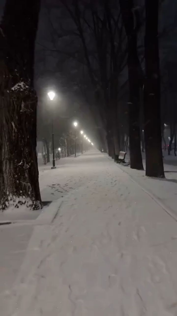 Татьяна в LOOKY. . 