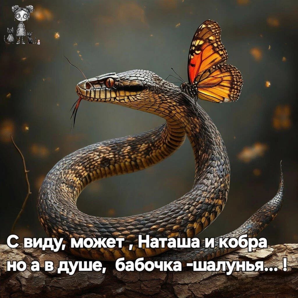 Натусик в LOOKY — публикация