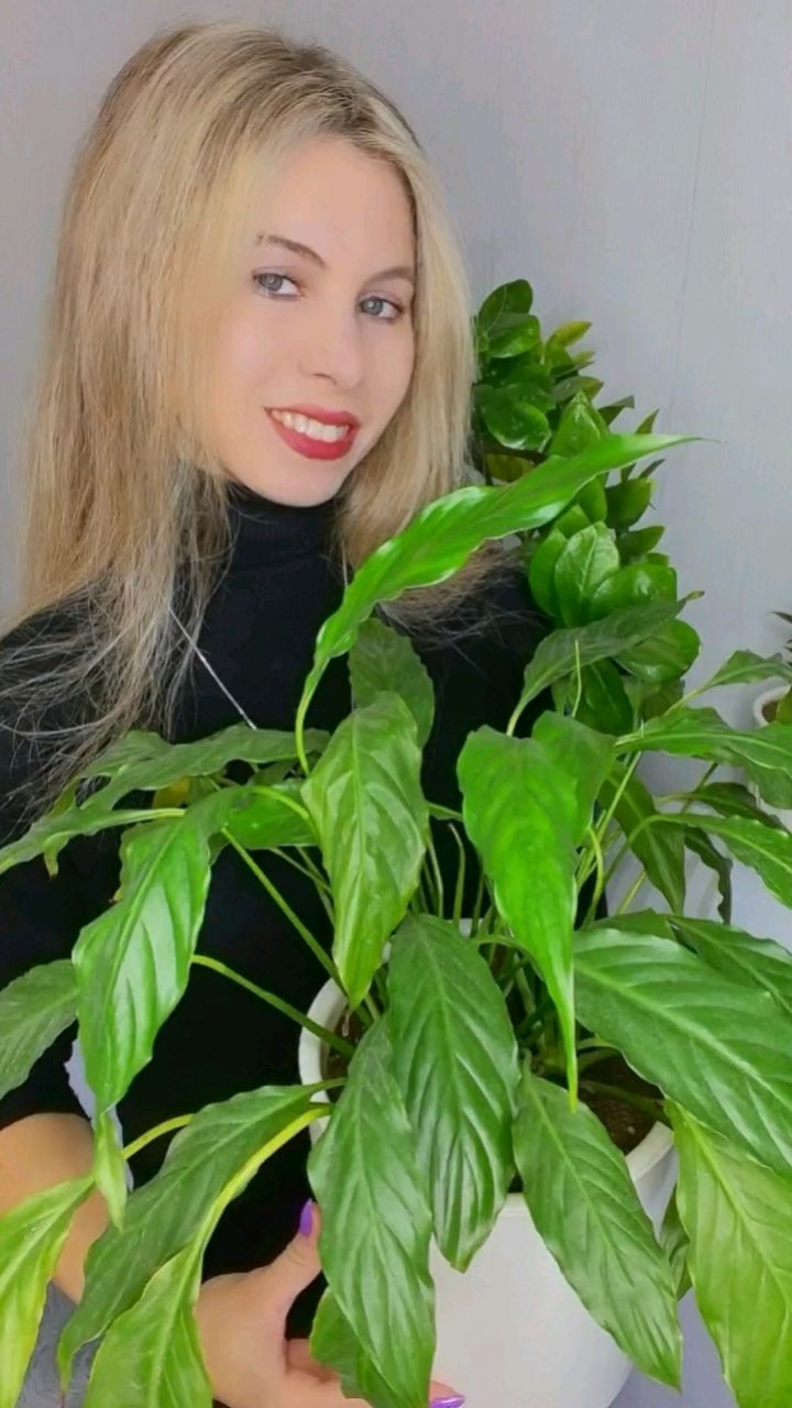  в LOOKY — 🌱💚 Спасаем спатифиллум: советы по уходу! 💚🌱с органически
