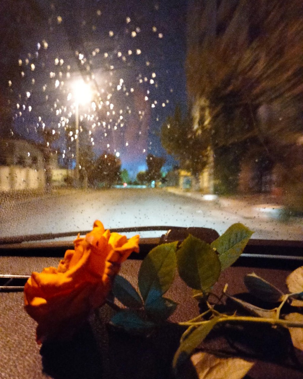#Золотое_дно