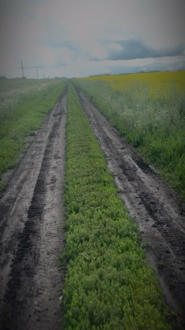 Natali3333 в LOOKY. . [#буханка ](буханка)...
