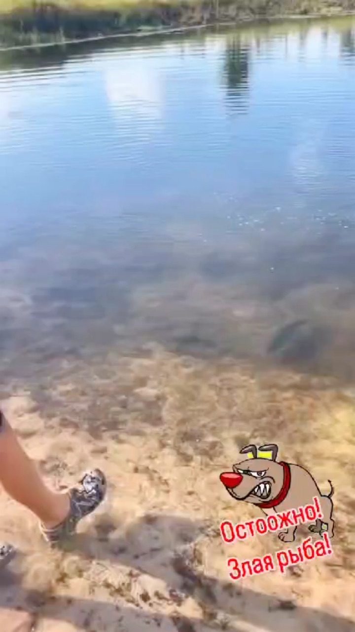 masolovreal в LOOKY. . Рыбалка