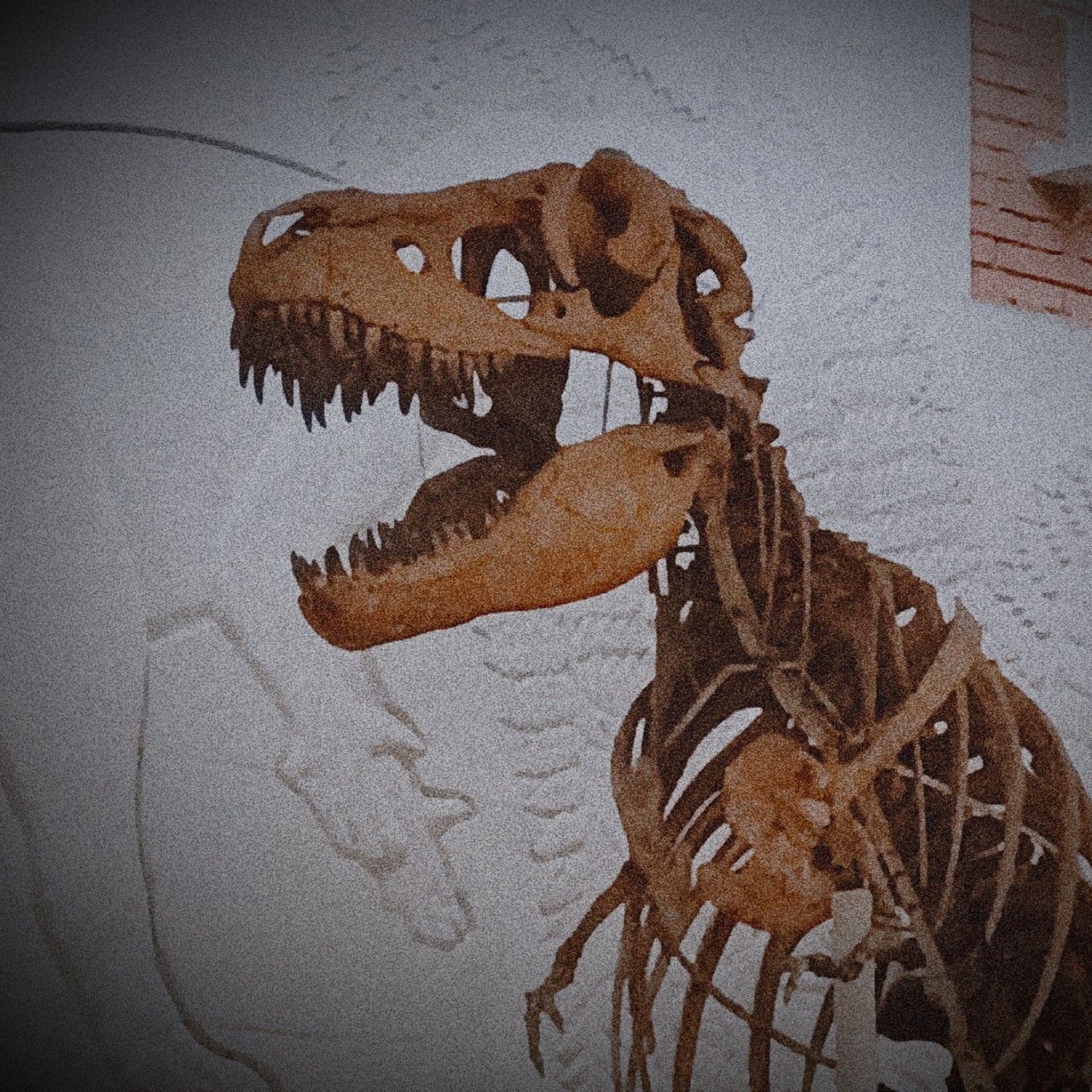 Lisa в LOOKY — [#dinosaur](dinosaur) #dino
