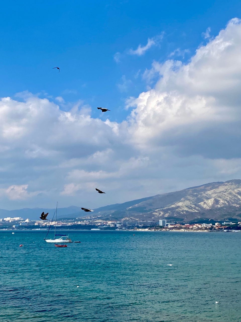 nina_melekhova в LOOKY — фото 3