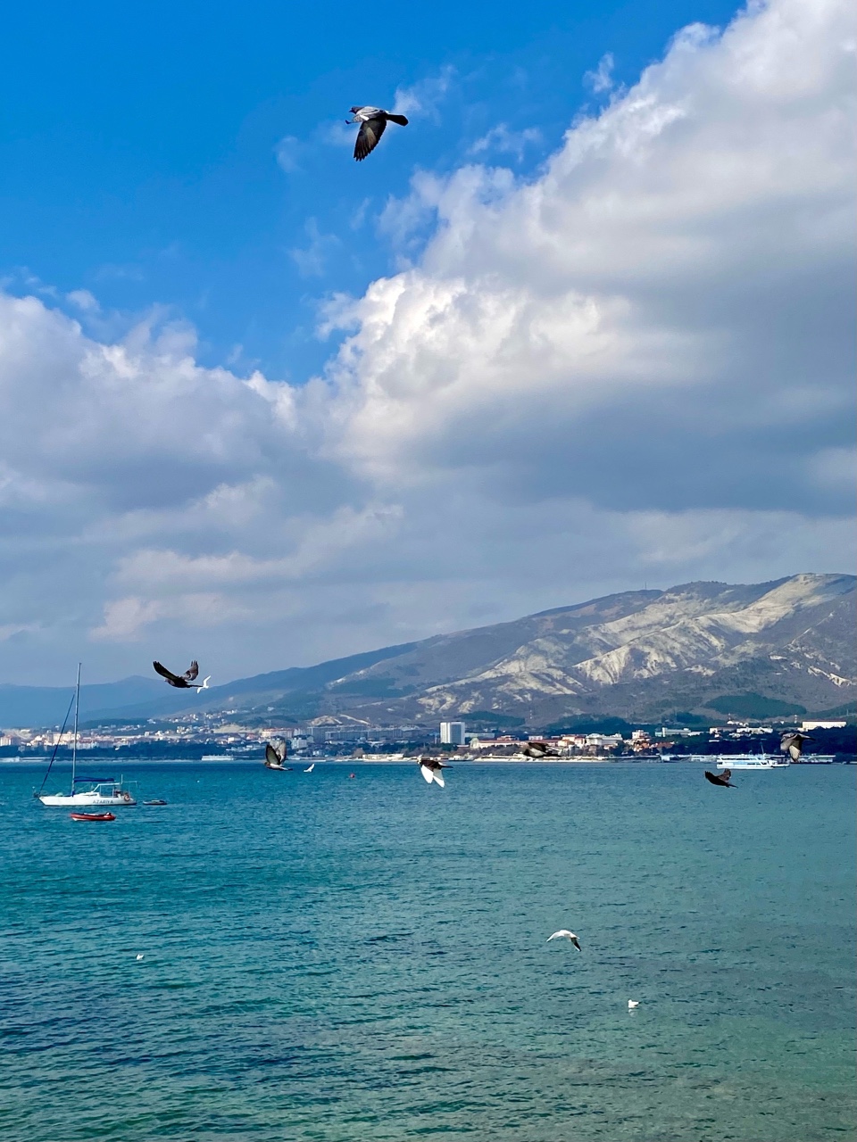 nina_melekhova в LOOKY — фото 7