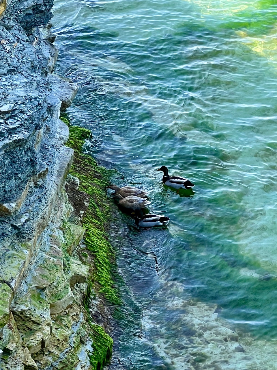 nina_melekhova в LOOKY — фото 5