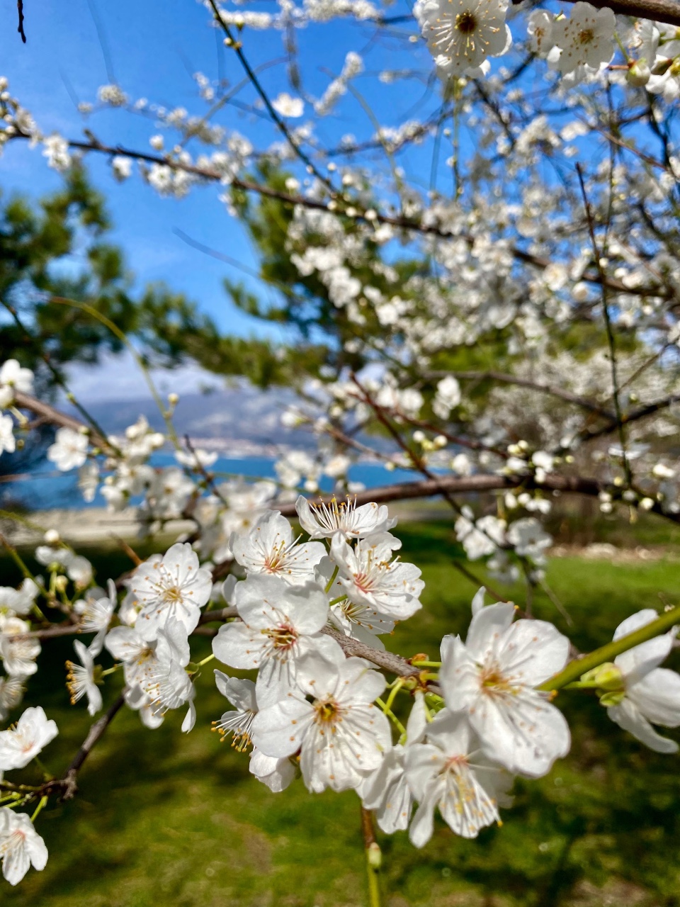 nina_melekhova в LOOKY — фото 2