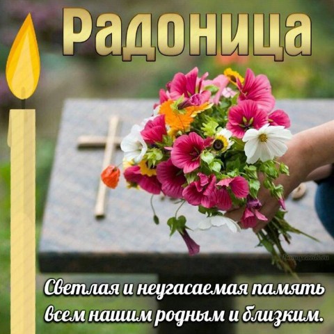 _life_ldk_official_ в LOOKY. . 27 апреля  Администр...