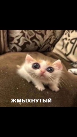 Varyag в LOOKY. . 