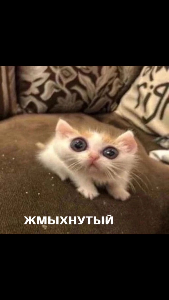 Varyag in LOOKY. . 